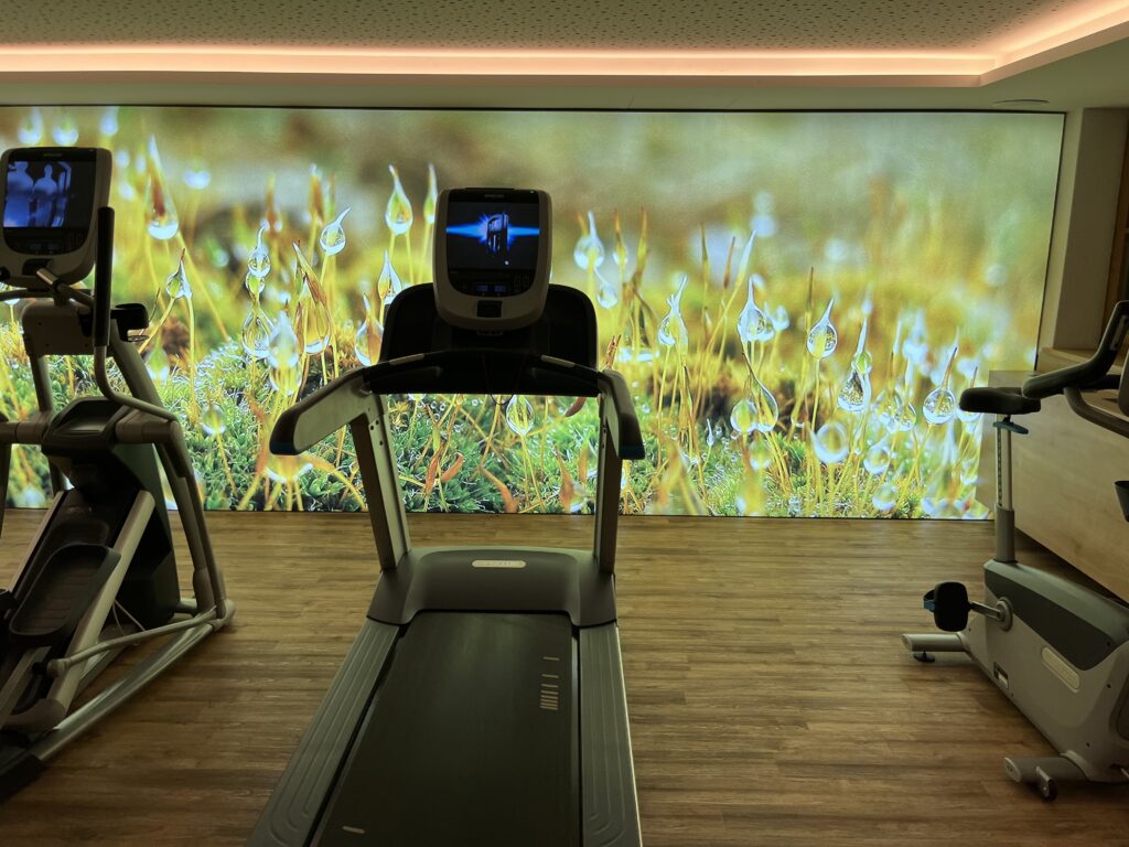 Was sind Long Runs in Zone 2 – und warum empfehlen sie alle?